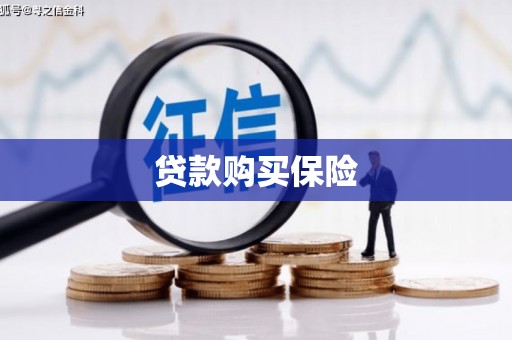 兴平贷款购买保险