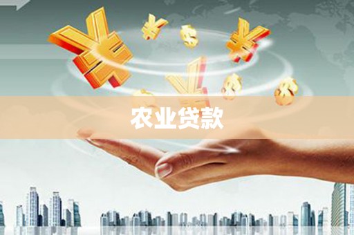 兴平农业贷款