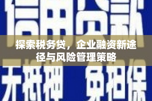 兴平探索税务贷，企业融资新途径与风险管理策略