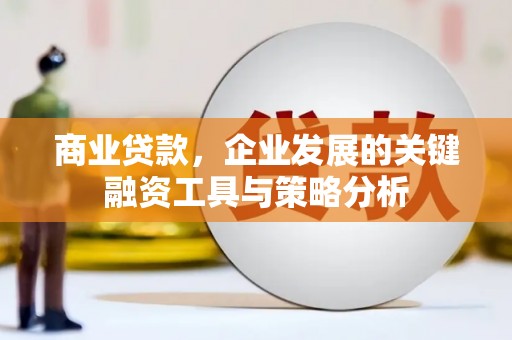 兴平商业贷款，企业发展的关键融资工具与策略分析