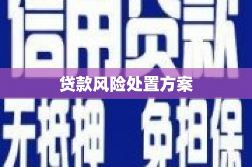 兴平贷款风险处置方案