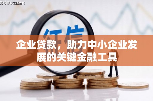 兴平企业贷款，助力中小企业发展的关键金融工具