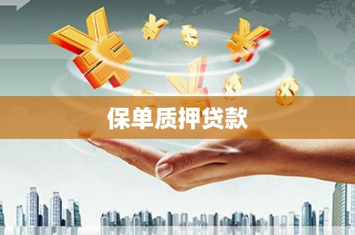 兴平保单质押贷款