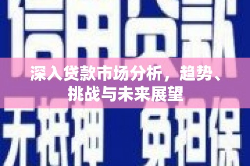 兴平深入贷款市场分析，趋势、挑战与未来展望
