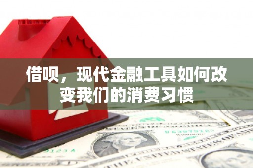 兴平借呗，现代金融工具如何改变我们的消费习惯