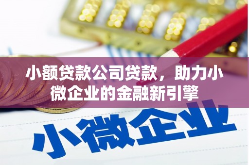 兴平小额贷款公司贷款，助力小微企业的金融新引擎