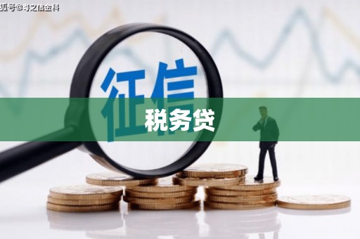 兴平税务贷