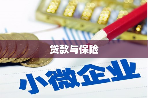 兴平贷款与保险
