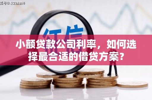兴平小额贷款公司利率，如何选择最合适的借贷方案？