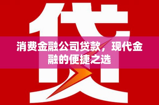 兴平消费金融公司贷款，现代金融的便捷之选