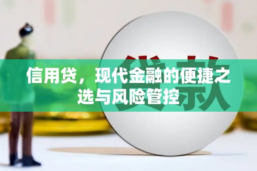 兴平信用贷，现代金融的便捷之选与风险管控