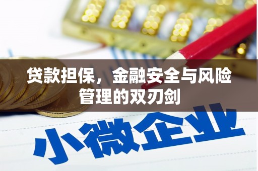 兴平贷款担保，金融安全与风险管理的双刃剑