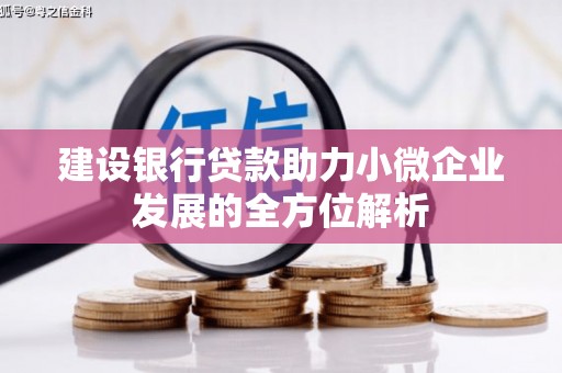 兴平建设银行贷款助力小微企业发展的全方位解析