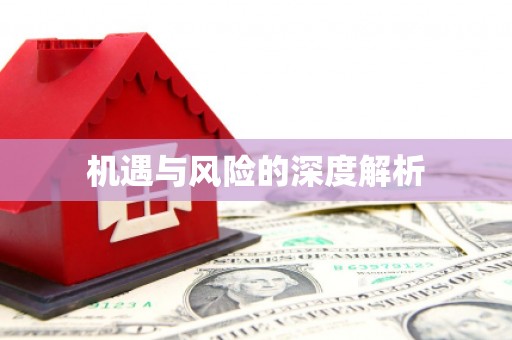 兴平机遇与风险的深度解析