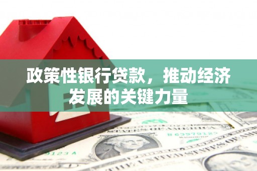 兴平政策性银行贷款，推动经济发展的关键力量