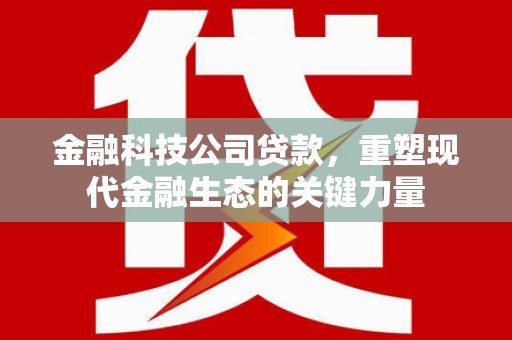 兴平金融科技公司贷款，重塑现代金融生态的关键力量