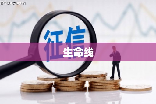 兴平生命线