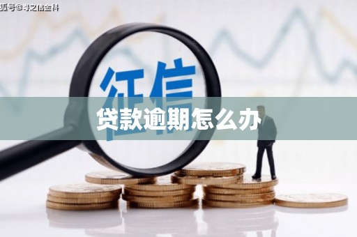兴平贷款逾期怎么办