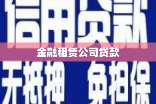 兴平金融租赁公司贷款