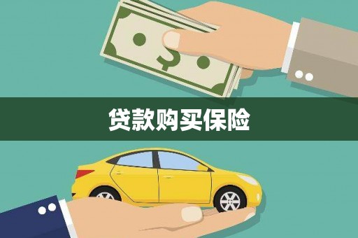 兴平贷款购买保险