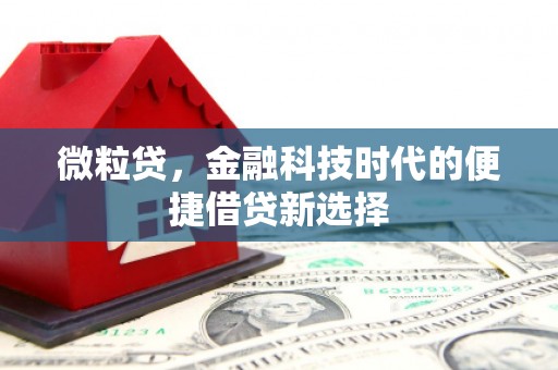 兴平微粒贷，金融科技时代的便捷借贷新选择