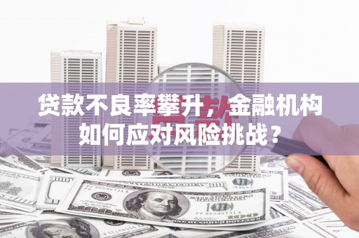 兴平贷款不良率攀升，金融机构如何应对风险挑战？