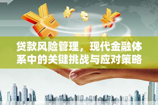 兴平贷款风险管理，现代金融体系中的关键挑战与应对策略