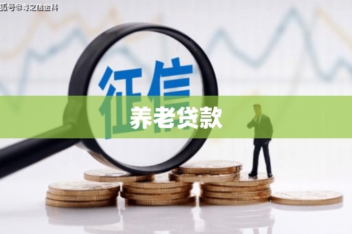 兴平养老贷款