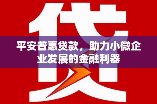 兴平平安普惠贷款，助力小微企业发展的金融利器
