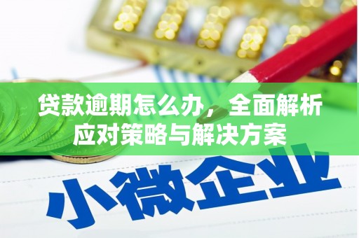兴平贷款逾期怎么办，全面解析应对策略与解决方案