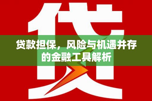 兴平贷款担保，风险与机遇并存的金融工具解析