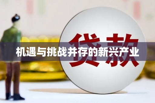兴平机遇与挑战并存的新兴产业