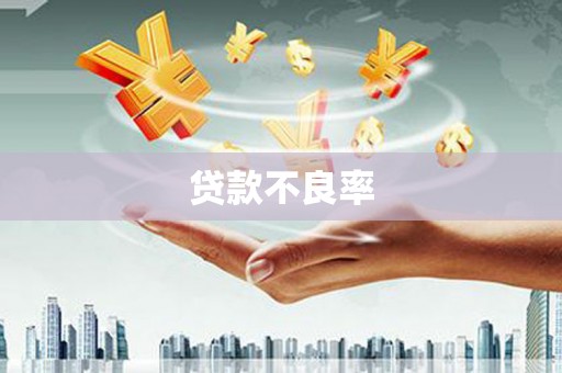 兴平贷款不良率