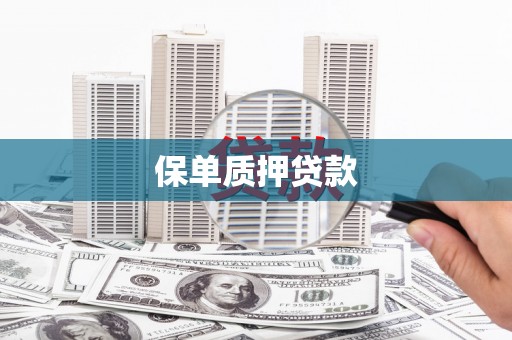 兴平保单质押贷款