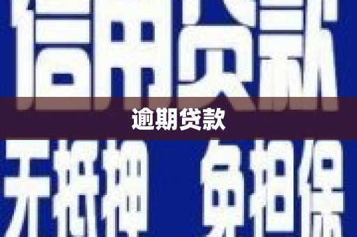 兴平逾期贷款