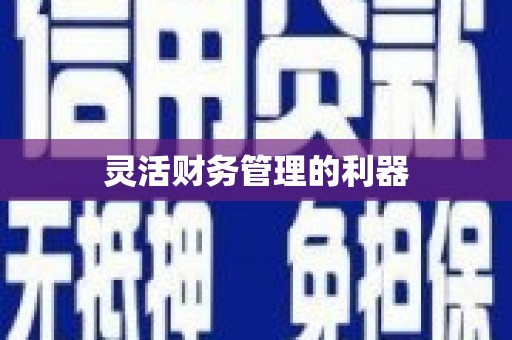 兴平灵活财务管理的利器