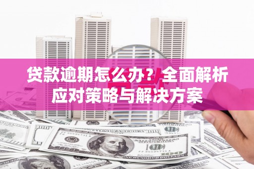 兴平贷款逾期怎么办？全面解析应对策略与解决方案
