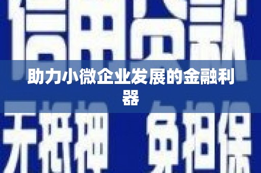 兴平助力小微企业发展的金融利器