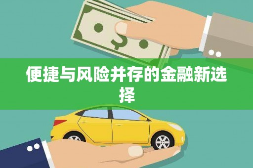 兴平便捷与风险并存的金融新选择
