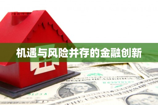 兴平机遇与风险并存的金融创新