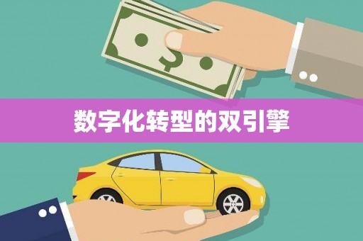 兴平数字化转型的双引擎
