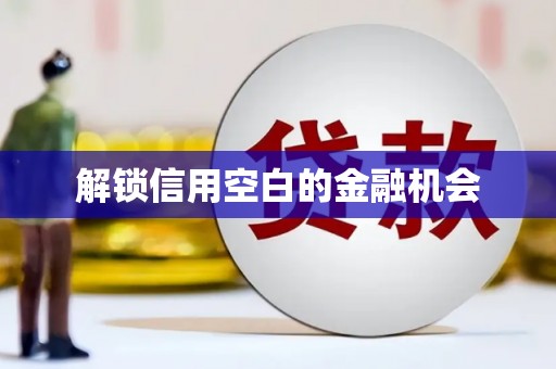 兴平解锁信用空白的金融机会