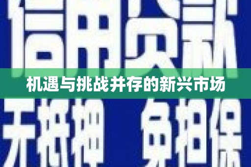 兴平机遇与挑战并存的新兴市场