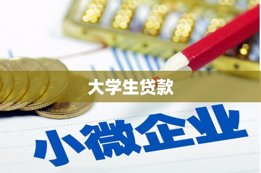 兴平大学生贷款