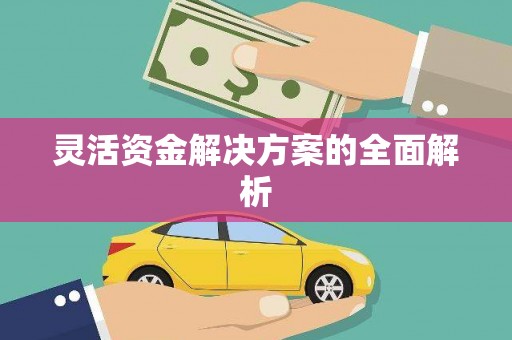 兴平灵活资金解决方案的全面解析