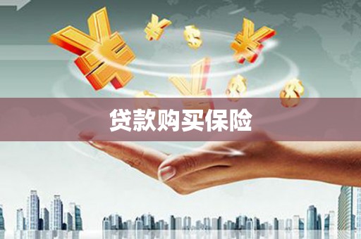 兴平贷款购买保险