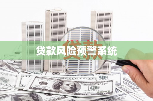兴平贷款风险预警系统